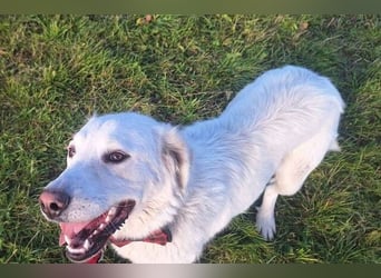 LUCY freut sich über jede Zuwendung