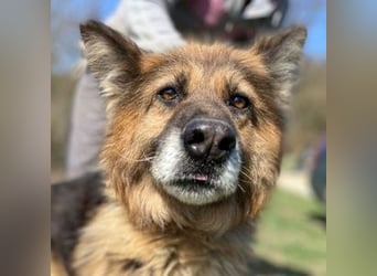 SHIRA hat endlich Liebe verdient