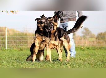 Donna, schön und sehr lieb