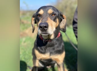 PEPI hat alles verloren