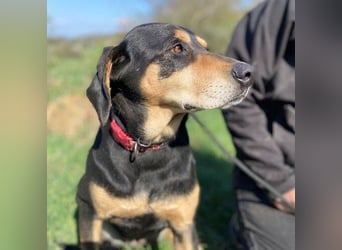 PEPI hat alles verloren