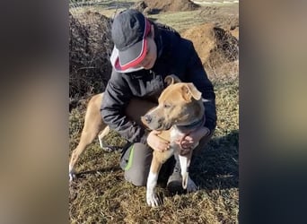 DORIAN sehnt sich nach einem Zuhause