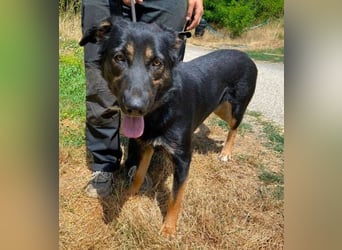 LUNA 2 wäre so gerne Familienmitglied