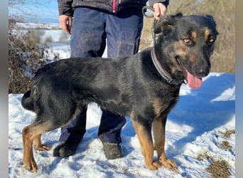 LUNA 2 wäre so gerne Familienmitglied