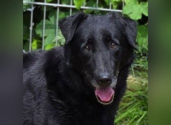 KARAM ist super lieb