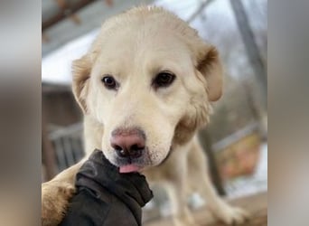 LUCY freut sich über jede Zuwendung