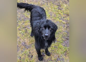 FABIO wäre gerne dein Freund