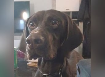OTTO ist ein Schatz