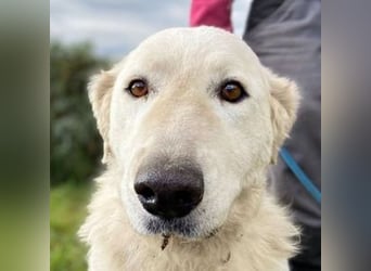 ZUZA  ist traurig, wer tröstet sie?