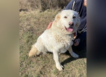 LUCY freut sich über jede Zuwendung