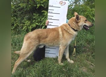 TIM ist auf der Suche nach dem großen Glück
