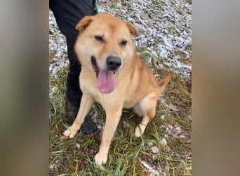 AKIM wartet auf Dich