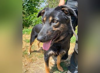LUNA 2 wäre so gerne Familienmitglied