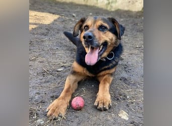 ZEUS wurde im Stich gelassen