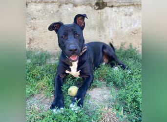 SUNNY sucht seine Menschen