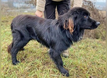FABIO wäre gerne dein Freund