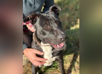 SUNNY sucht seine Menschen