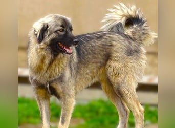 EMMA ist wunderschön