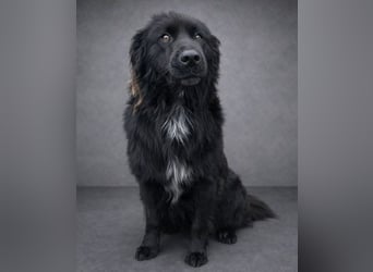 FABIO wäre gerne dein Freund