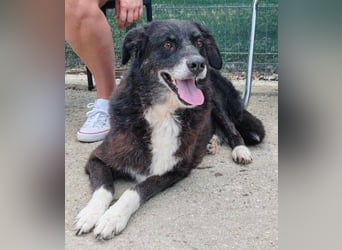 SCARLET sehnt sich so nach Liebe