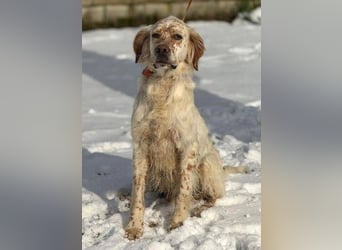 MARK  bildschön, und zu allen sehr lieb