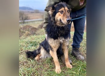 ELZA sucht ihre Familie