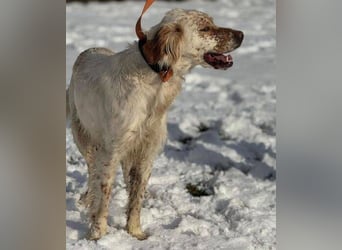 MARK  bildschön, und zu allen sehr lieb