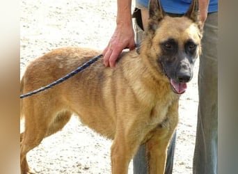 IKE ist ein unkomplizierter Strahlemann