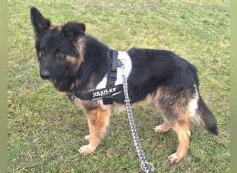 ZEUS durfte nie ankommen