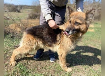 SHIRA hat endlich Liebe verdient