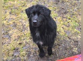 FABIO wäre gerne dein Freund