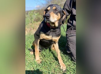 PEPI hat alles verloren