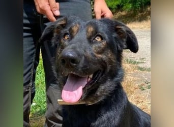 LUNA 2 wäre so gerne Familienmitglied