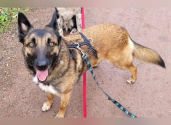 LOTTE sucht ihr Körbchen