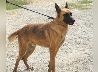 IKE ist ein unkomplizierter Strahlemann