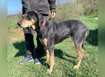 PEPI hat alles verloren