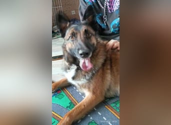 LOTTE sucht ihr Körbchen