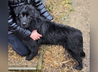 FABIO wäre gerne dein Freund