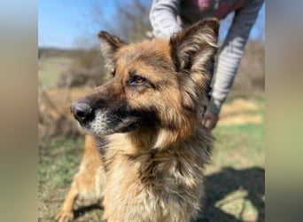 SHIRA hat endlich Liebe verdient