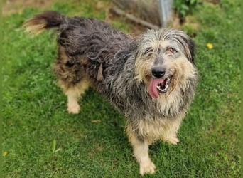 MAYA ist einfach zauberhaft