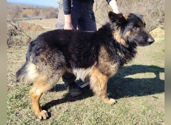 ZEUS durfte nie ankommen