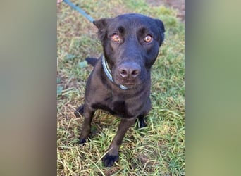 DANTE liebt Menschen