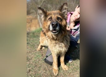 SHIRA hat endlich Liebe verdient