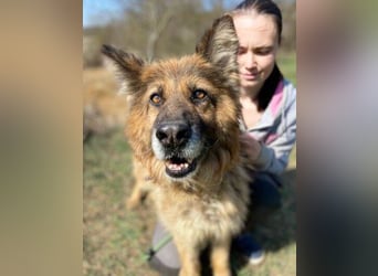 SHIRA hat endlich Liebe verdient