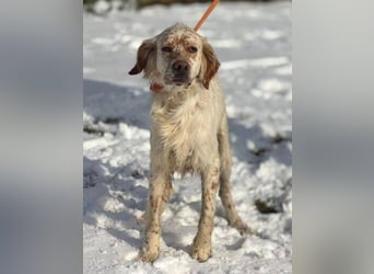 MARK  bildschön, und zu allen sehr lieb