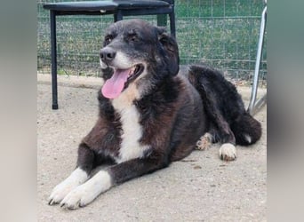 SCARLET sehnt sich so nach Liebe