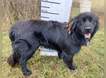 FABIO wäre gerne dein Freund