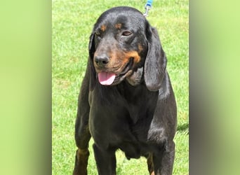 LENA sucht ihre Familie