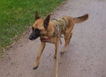 IKE ist ein unkomplizierter Strahlemann