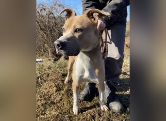 DORIAN sehnt sich nach einem Zuhause